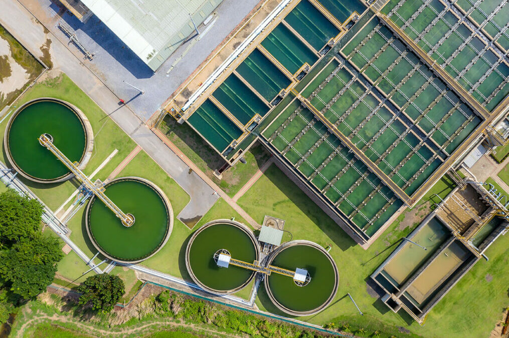 How do wastewater treatment plants (WWTPs) work?