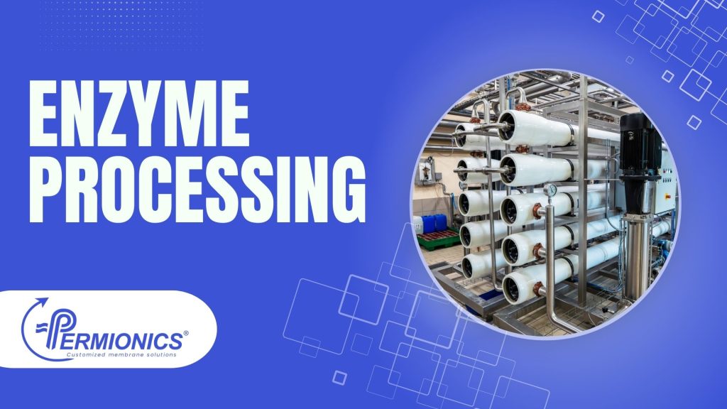 Enzyme Processing