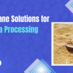 SOYA PROCESSING