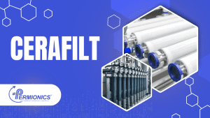 Cerafilt ceramic