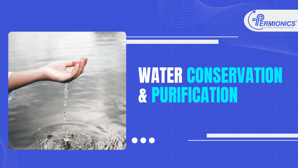 conserve water